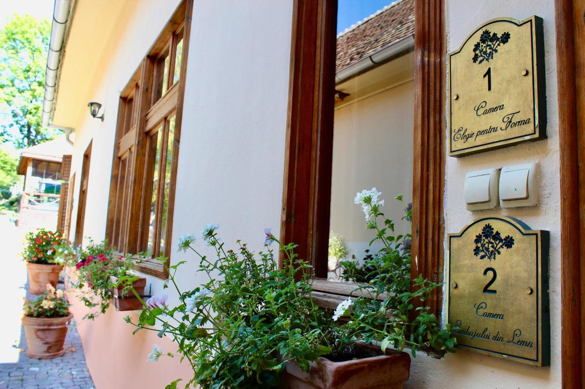 Pensiunea Agora Cisnadioara Εξωτερικό φωτογραφία